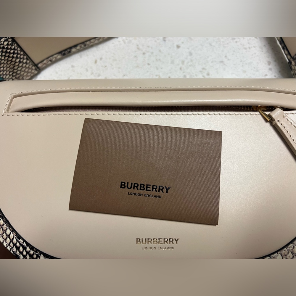 Burberry Cream Python Crossbody/ Shoulder Handbag - image 6